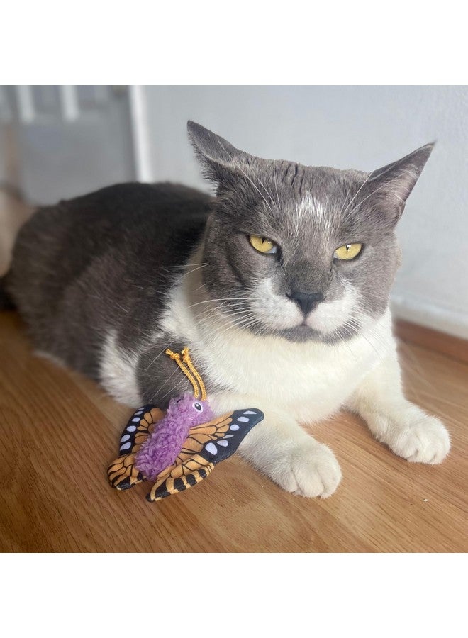 SPOT Love The Earth Butterfly Cat Toy - Eco Friendly Catnip Toy Made with Recycled Plastic Bottles, Soft, Plush, Bright Colored Classic Toy for Indoor Cats and Kittens - 4 inch, Assorted Colors - Image 5