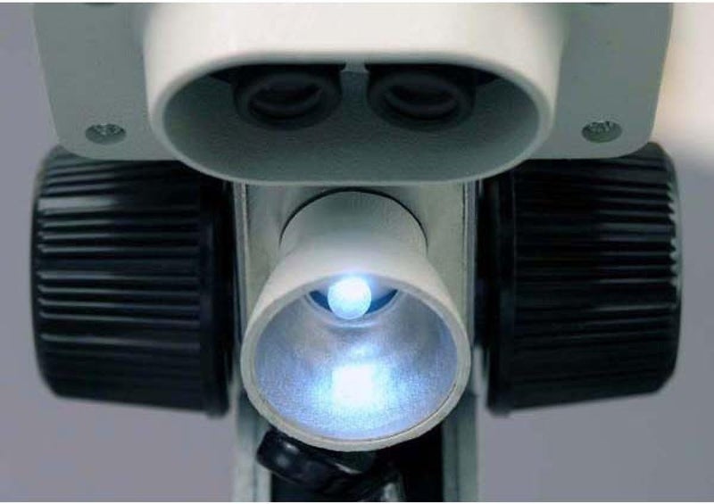 AmScope Kids SE100ZZ-LED Portable LED Stereo Microscope with 20X and 50X Magnifications - Image 4