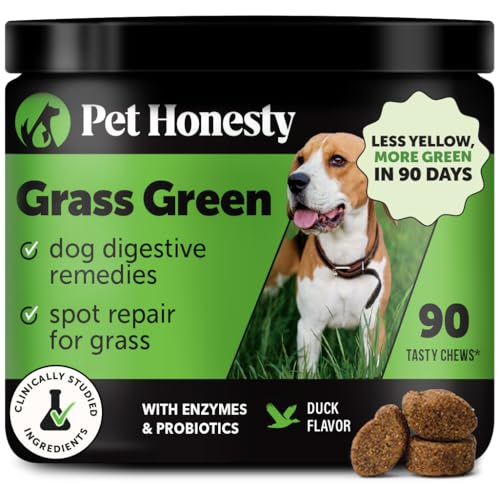 Grass Green Dog Chews Urine Neutralizer for Lawn Dog Pee Grass Helps Yard Stay Green Addressing Burn Spots with Probiotics Enzymes Duck