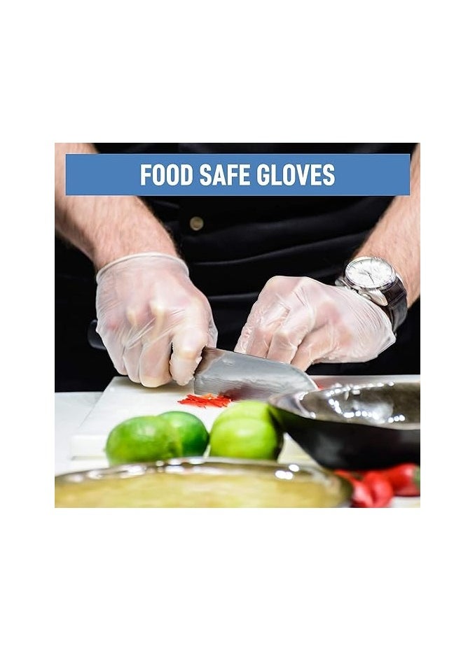 100-Piece Medical Powder-Free Vinyl Gloves Clear, Large