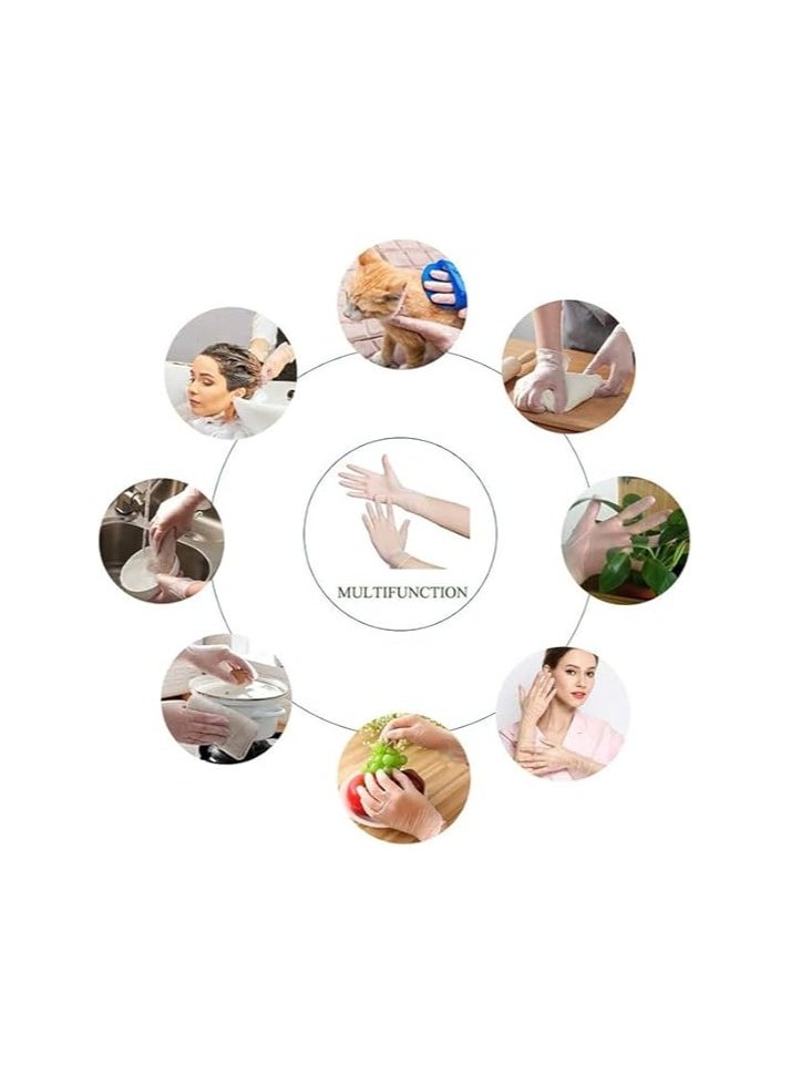 100-Piece Medical Powder-Free Vinyl Gloves Clear, Large