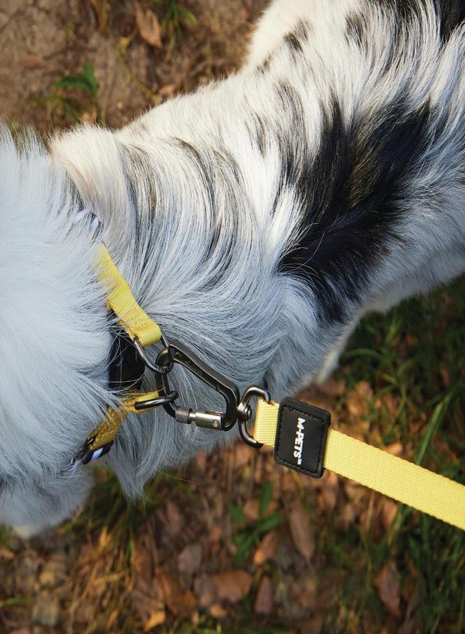 أم-بيتس طوق مارتينجال سفاري وايلد من إم-بيتس للكلاب الصغيرة، قابل للتعديل، طوق متين للحيوانات الأليفة للتدريب والمشي والأنشطة الخارجية، حشوة مريحة مع قفل أمان، طبعة سفاري أنيقة، صغير - Image 4