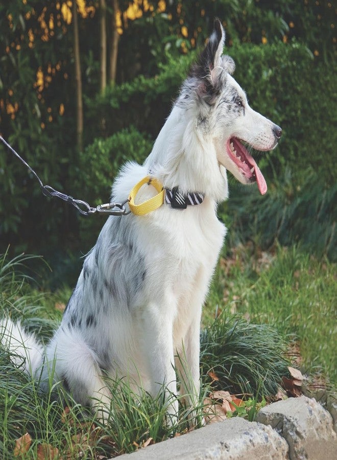 أم-بيتس طوق مارتينجال سفاري وايلد من إم-بيتس للكلاب الصغيرة، قابل للتعديل، طوق متين للحيوانات الأليفة للتدريب والمشي والأنشطة الخارجية، حشوة مريحة مع قفل أمان، طبعة سفاري أنيقة، صغير - Image 5