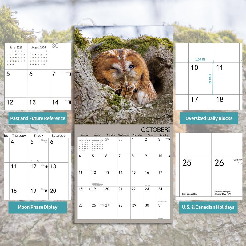 BLYYIEER 2026 Wall Calendar,Owl Calendar 2026,OWL Monthly Wall Calendar, 12" x 24" Open,Family Planner Calendar, Home & Office Organizer,Hangable - Image 3