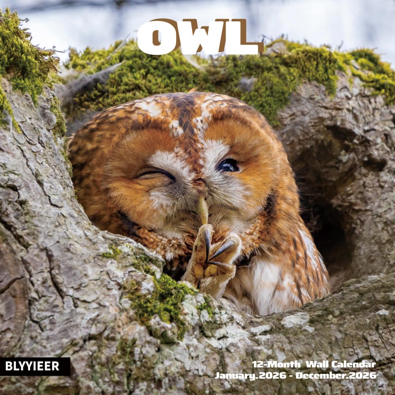 BLYYIEER 2026 Wall Calendar,Owl Calendar 2026,OWL Monthly Wall Calendar, 12" x 24" Open,Family Planner Calendar, Home & Office Organizer,Hangable - Image 1