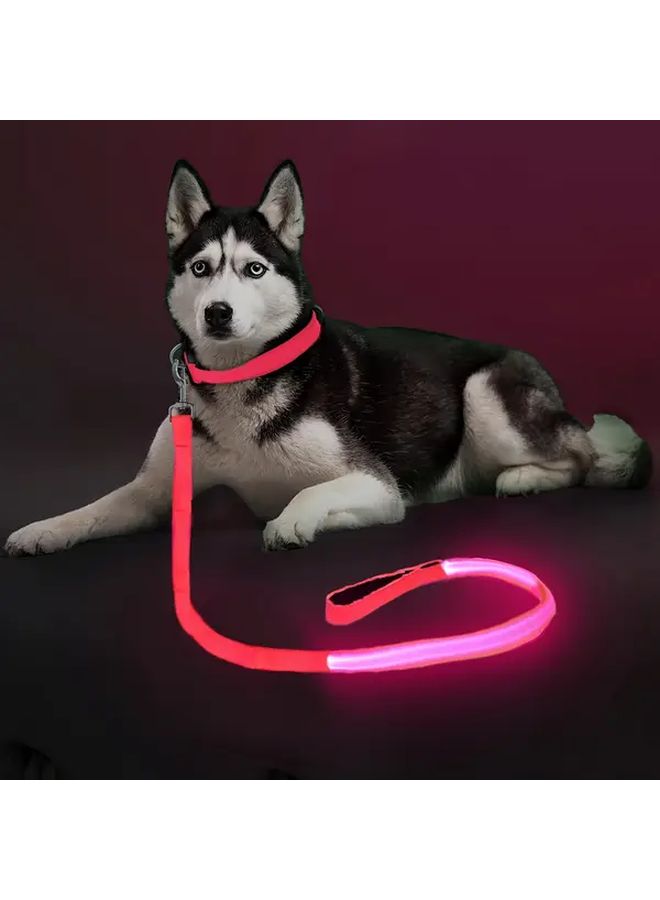 1pc 120cm 4ft LED Night Safety Flashing Glowing Pet Leash Dog Collar White Illuminates The Night Ensures Your Dogs Safety And Visibility On Walks - Image 1