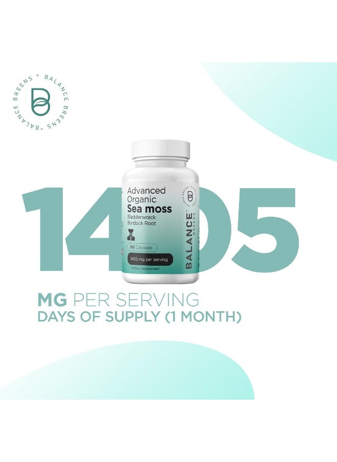 Balancebreens - Balancebreens Organic Irish Sea Moss Capsules - 60 Pure SeaMoss, Bladderwrack & Burdock Root Supplement, Immune Booster, Digestive Gut Health, Healthy Skin Detox and Joints Support - Image 1