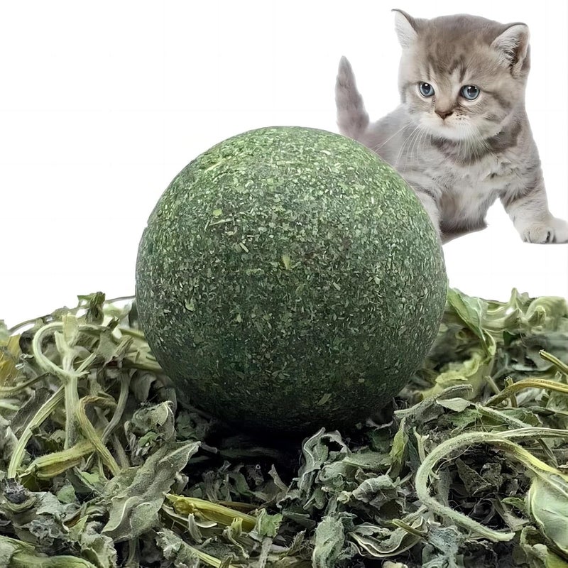 Sunkizzrs ® Catnip Ball Replacement 4 Pcs for Catnip Wall Toys (Only 4pcs Catnip Ball Replacement) - Image 1