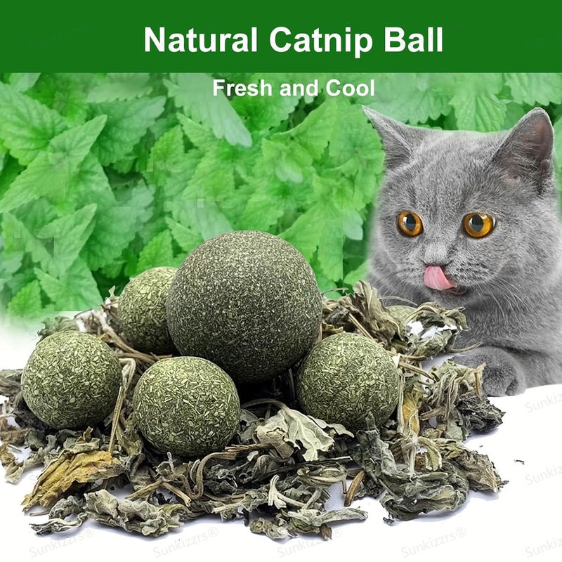 Sunkizzrs ® Catnip Ball Replacement 4 Pcs for Catnip Wall Toys (Only 4pcs Catnip Ball Replacement) - Image 5