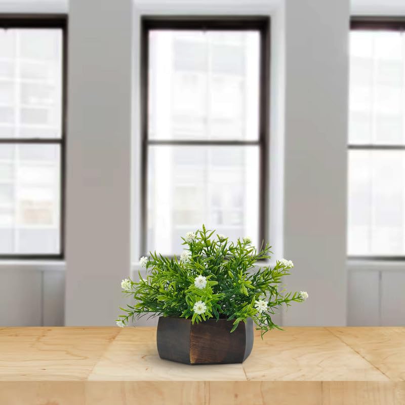 DecoreBugs Artificial Flowering Plant Threadleaf White in Hexagon Pot - Image 2