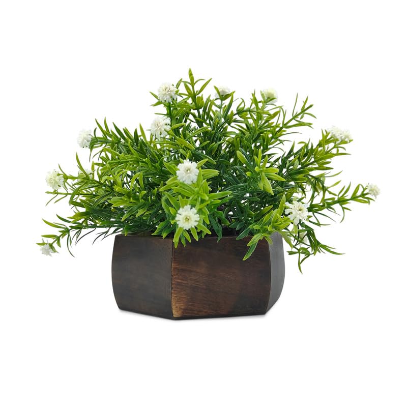 DecoreBugs Artificial Flowering Plant Threadleaf White in Hexagon Pot - Image 1
