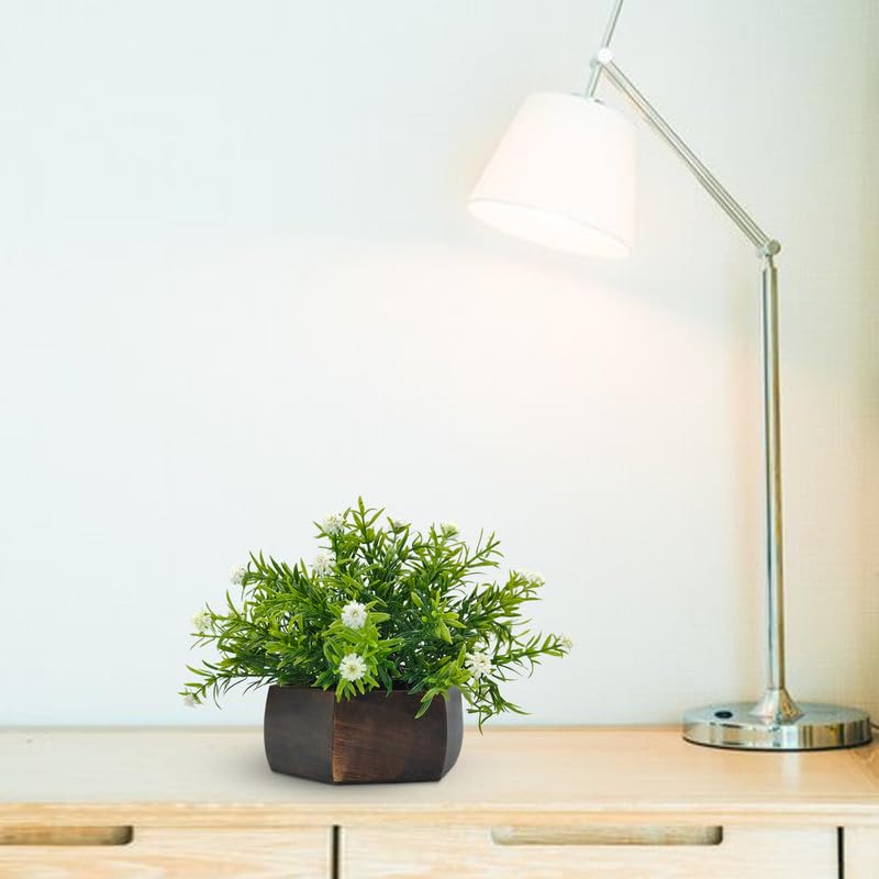 DecoreBugs Artificial Flowering Plant Threadleaf White in Hexagon Pot - Image 5