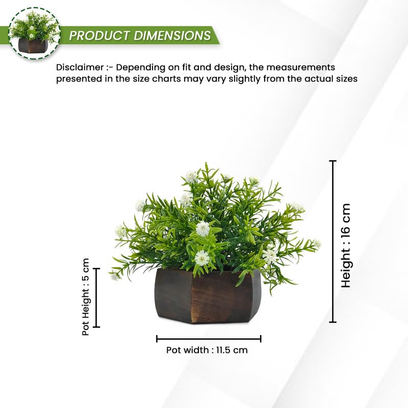 DecoreBugs Artificial Flowering Plant Threadleaf White in Hexagon Pot - Image 4