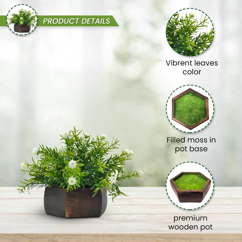 DecoreBugs Artificial Flowering Plant Threadleaf White in Hexagon Pot - Image 3