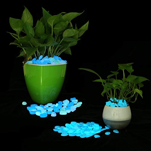 UNIME Glow in The Dark Garden Pebbles Stones Rocks for Yard and Walkways Decor, DIY Decorative Luminous Stones in Blue (200 PCS) - Image 5