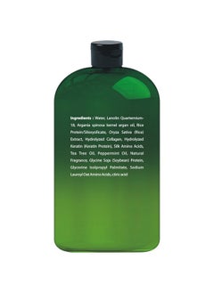 First Botany , Tea Tree Oil Conditioner 16 Fl Oz - Anti Dandruff Natural Oil Conditioner For Dry Itchy & Flaky Scalp - Sulfate Free Paraben Free Cleanser - Prevents Head Lice & Thinning  - Image 2