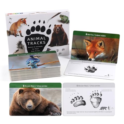 MEROCO Forest Animals Tracks Cards for KidsAnimal Tracks Matching Game Flash CardsHomeschool Animal Games Kids Learning Educational Toys Preschool Autism Learning Materials - Image 1