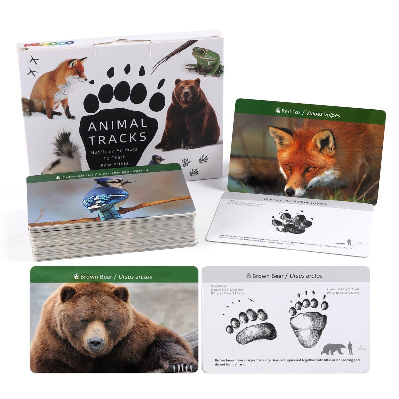 MEROCO Forest Animals Tracks Cards for KidsAnimal Tracks Matching Game Flash CardsHomeschool Animal Games Kids Learning Educational Toys Preschool Autism Learning Materials - Image 3