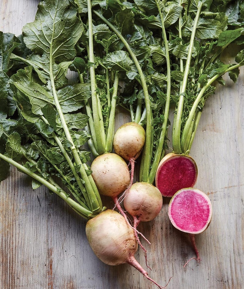 Burpee Watermelon Radish Seeds 300 seeds - Image 1