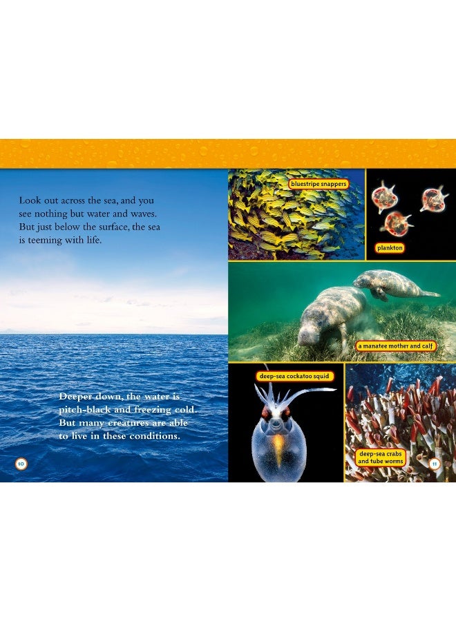 ماء: المستوى 4 - Image 2