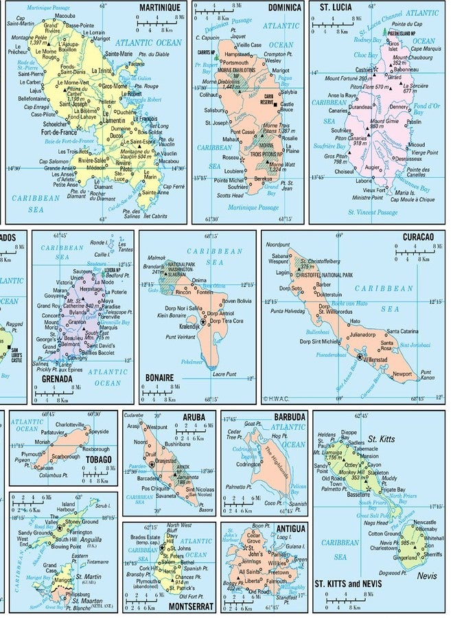 Cool Owl Maps Gulf, Caribbean & Atlantic Coast Regions Wall Map Poster 36x24 Rolled Paper - Image 3