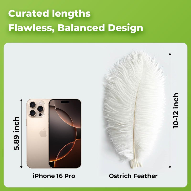 Piokio 20Pcs White Ostrich Feathers 10-12 inch (25-30cm) Bulk Feathers for Home Decoration and DIY Clothes Decoration, Gatsby Decorations - Image 2