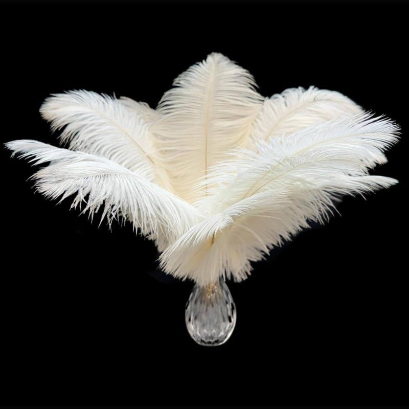 Piokio 20Pcs White Ostrich Feathers 10-12 inch (25-30cm) Bulk Feathers for Home Decoration and DIY Clothes Decoration, Gatsby Decorations - Image 1