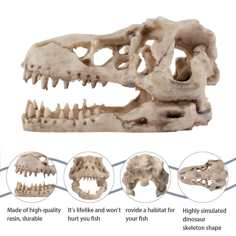 VibeNest Dinosaur Skull Aquarium Decoration - Natural Fish Tank Hideaway Cave, 6.3"x4"x4â€ Resin Ornament for Freshwater Tanks (6.3") - Image 4