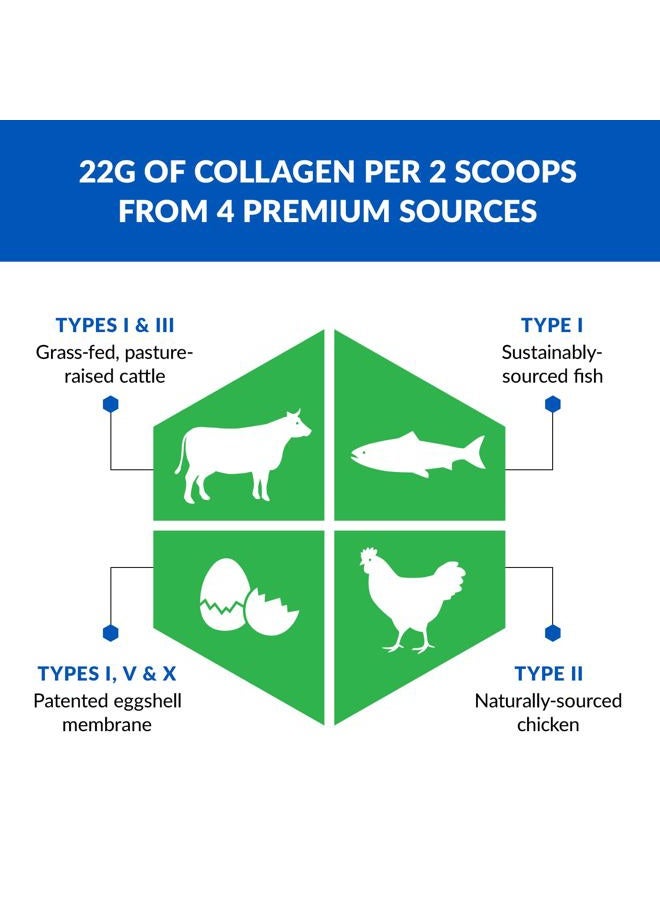 BioTrust Multi Collagen Protein Powder + Keto MCT Oil – 5 Types (I, II, III, V, X) & 100% Caprylic Acid C8 - Support Elevated Ketones, Metabolism, Joints & Beauty All in 1 Collagen Powder (Unflavored) - Image 4
