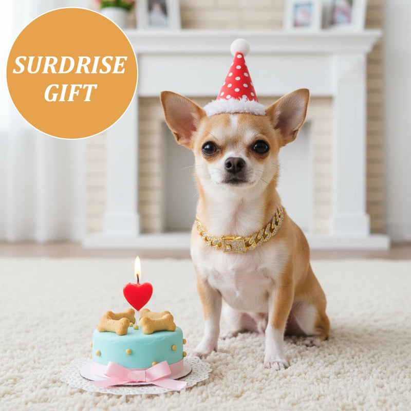 Matwsec 2PCS Gold Cat Chain Collar 8 Inch Diamond Dog Chain Collars Cuban Link Dog Collar for Cats Dogs Kittens Puppies Pets Metal Jewelry Accessories - Image 4