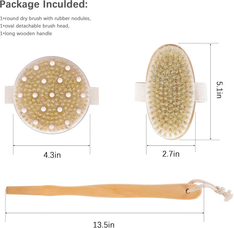 Dry Brushing Body Brush Set of 2 - Natural Bristle Exfoliating Brush with Long Handle for Shower and Lymphatic Massage - Image 2