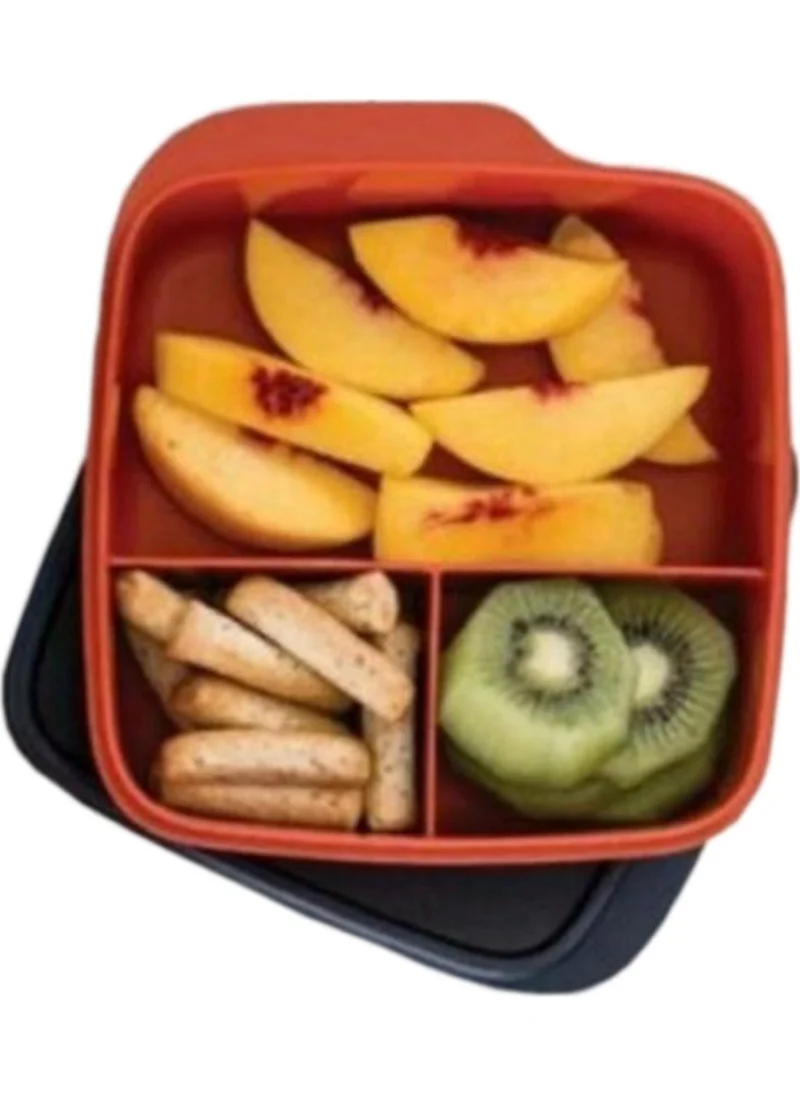 Tupperware Divided Nutrition Container 550Ml Red