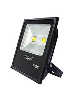 Generic 100 watt floodlight 