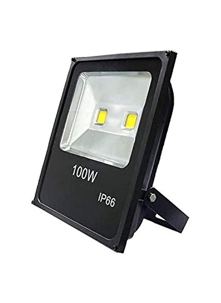 Generic 100 watt floodlight 