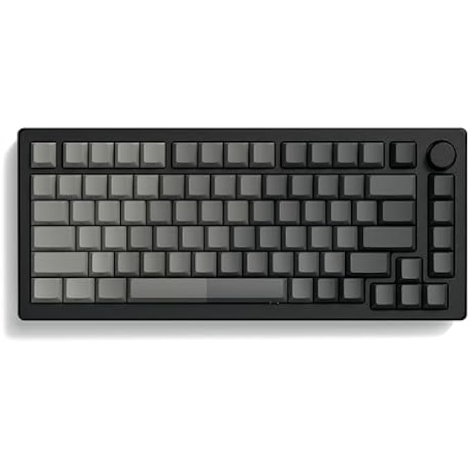 rayihni أغطية مفاتيح PBT الشفافة، 75% بروفايل شيري، رمادي متدرج، مزدوجة الطباعة، مجموعة أغطية مفاتيح متوافقة على نطاق واسع لأجهزة الكمبيوتر المحمولة الميكانيكية للألعاب - Image 1