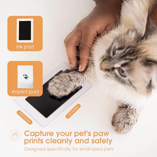 Pearhead Paw Print Clean Touch Ink Pad Kit for Dogs and Cats, Pet Owner Keepsake, DIY Inkless Paw and Nose Print Impression Set, Small/Medium - Image 2