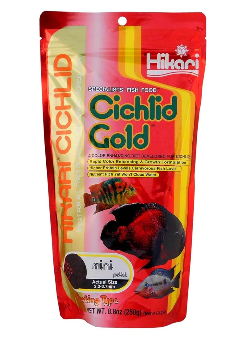Hikari - HIKARI 8.8-Ounce Cichlid Gold Floating Pellets for Pets - Image 1