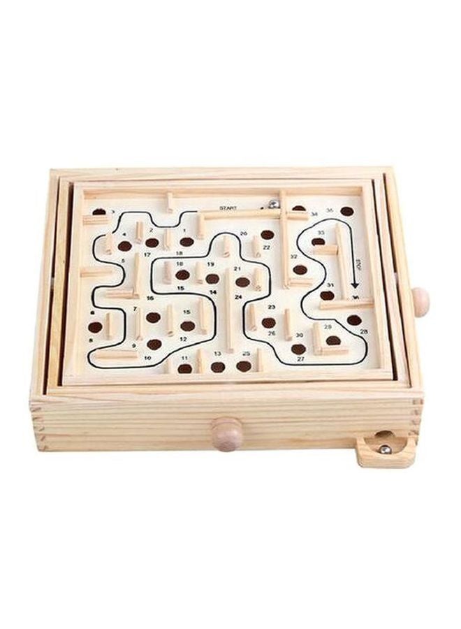 Labyrinth Unlocked Puzzle Toy - Image 1
