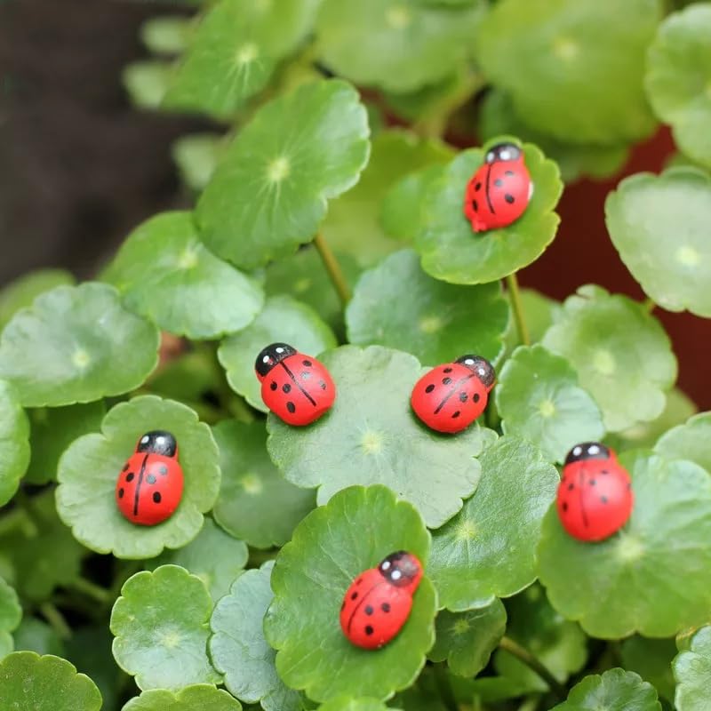 Chocozone Pack of 100 Beetle Miniatures Decorative Pots Indoor Plants Decor Landscape Decor Fairy Garden Decorations - 1cm - Image 3