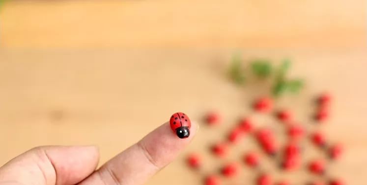 Chocozone Pack of 100 Beetle Miniatures Decorative Pots Indoor Plants Decor Landscape Decor Fairy Garden Decorations - 1cm - Image 5