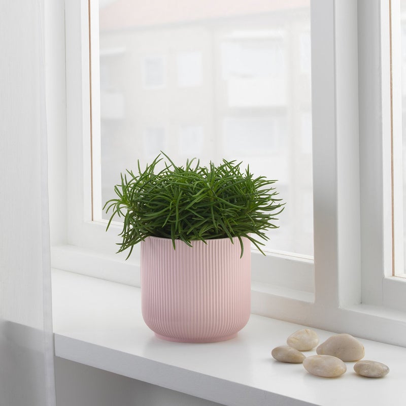 GRADVIS Grooved Stoneware Plant Pot, Pink, 12 cm - Image 4