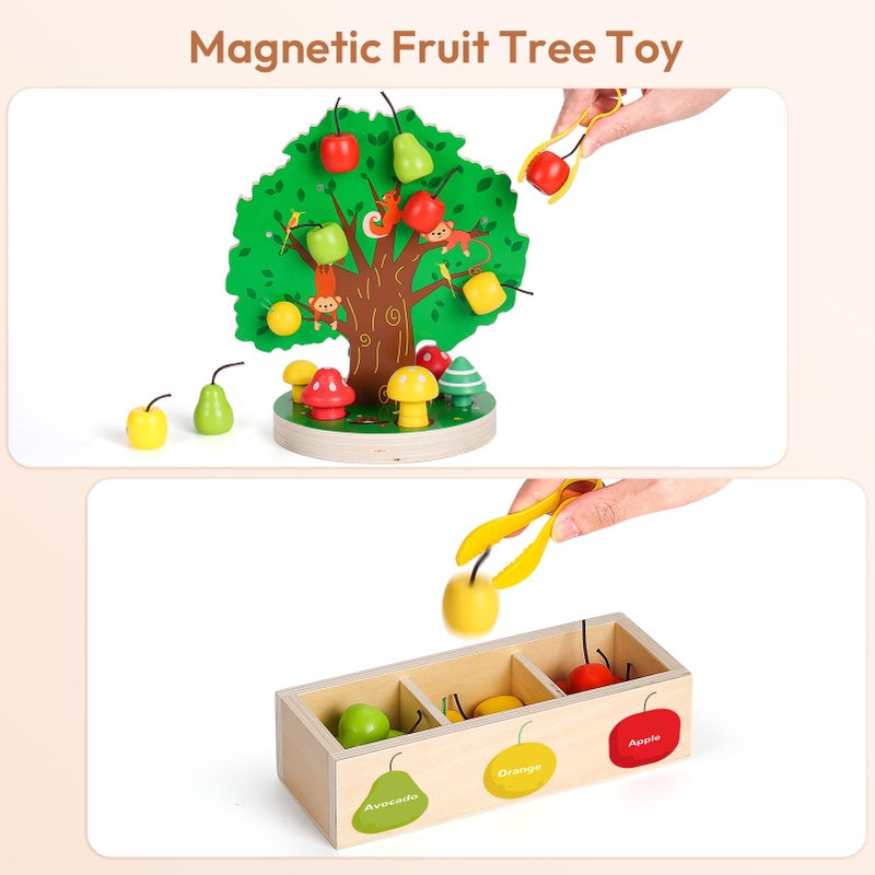 Woodtoe Toddler Fine Motor Skill Toys Montessori Wooden Sensory Toys for Toddlers 3 4 5 6 Year Old Apple Picking Magnetic Tree Toy Color Sorting and Matching Game Educational Learning Gift for Kid - Image 3