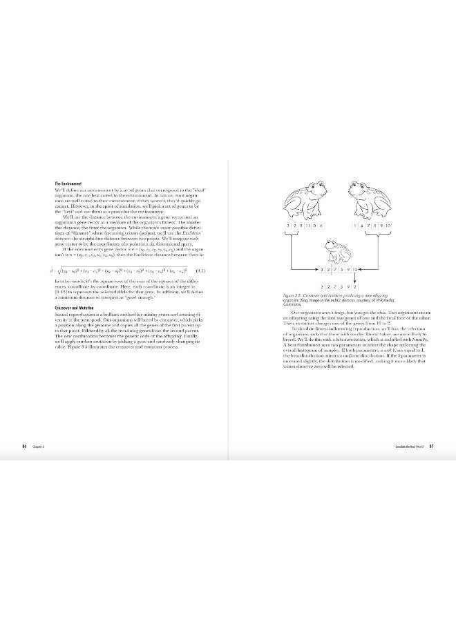 The Art of Randomness: Randomized Algorithms in the Real World - Image 4