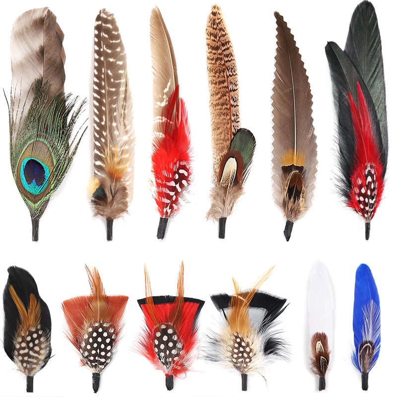 FeelfunFeather Hat Natural Peacock Feathers - 12PCS Colorful Real Feathers for DIY Fedora, Cowboy, Christmas Party, Oktoberfest, Trilby Hats - Image 1