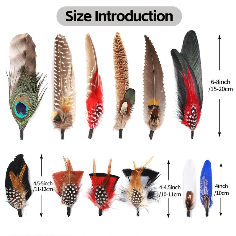 FeelfunFeather Hat Natural Peacock Feathers - 12PCS Colorful Real Feathers for DIY Fedora, Cowboy, Christmas Party, Oktoberfest, Trilby Hats - Image 2