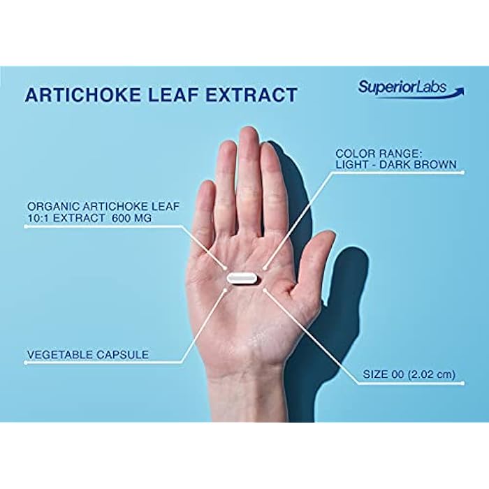 Superior Labs – Artichoke Leaf NonGMO Powerful with Caffeoylquinic Acid Natural Dietary Supplement to Support Healthy Metabolism, Digestion, Antioxidant, – 600 mg Dosage – 180 Veg Caps - Image 4