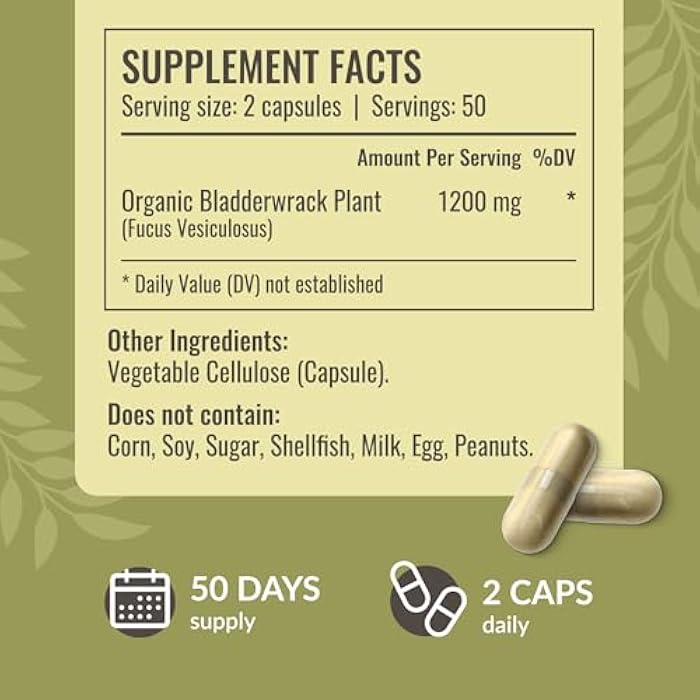 HERBAMAMA Bladderwrack Capsules - 1200mg Bladderwrack Herb Powder for Energy & Overall Support - Vegan, Non-GMO Sea Iodine Source Supplement, 100 Caps - Image 3