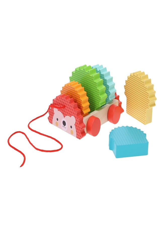 Petit Collage Rainbow Hedgehog Wooden Pull Toy - Image 2