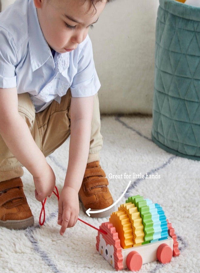 Petit Collage Rainbow Hedgehog Wooden Pull Toy - Image 3