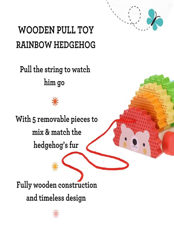 Petit Collage Rainbow Hedgehog Wooden Pull Toy - Image 4